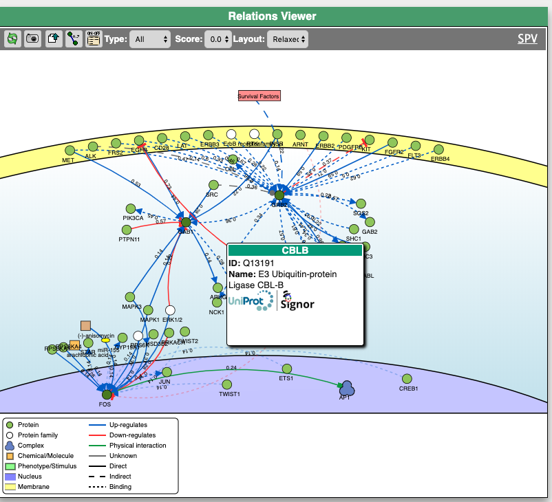 https://signor.uniroma2.it/tutorial/images/image5.png